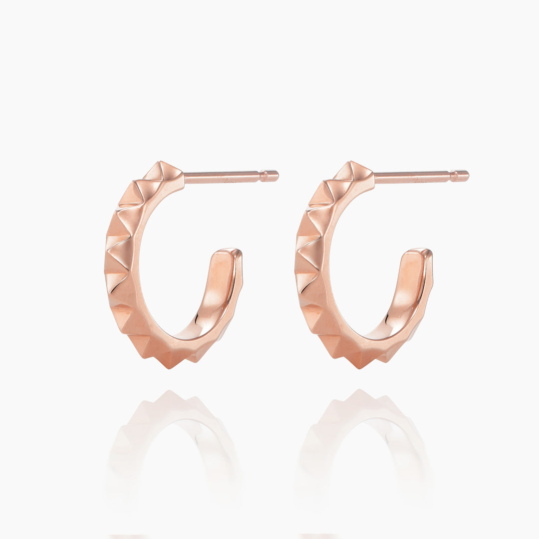 ピアス [ハドリー]/earrings [hadley]